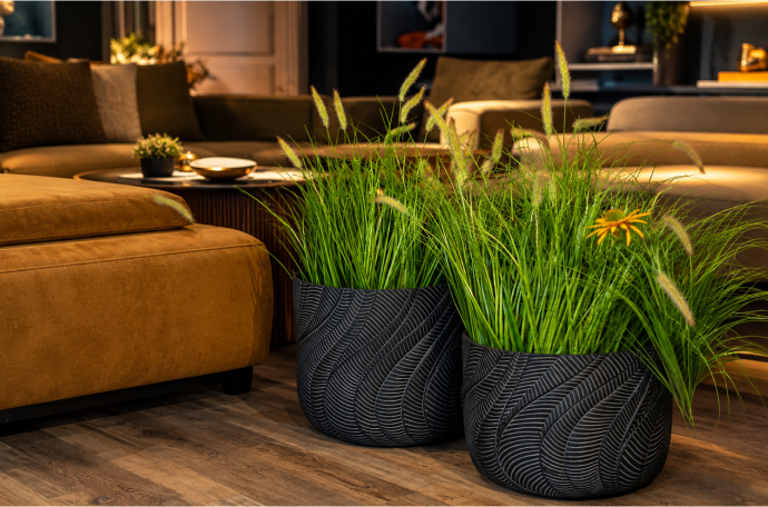 Earthy & Natural interior
